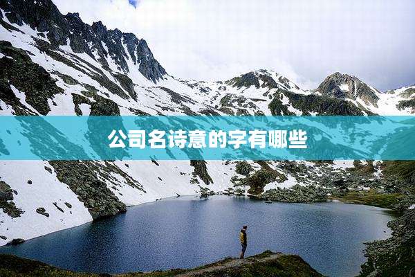 公司名诗意的字有哪些