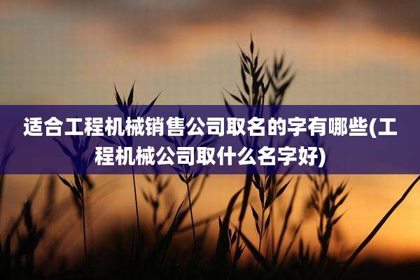 适合工程机械销售公司取名的字有哪些(工程机械公司取什么名字好)