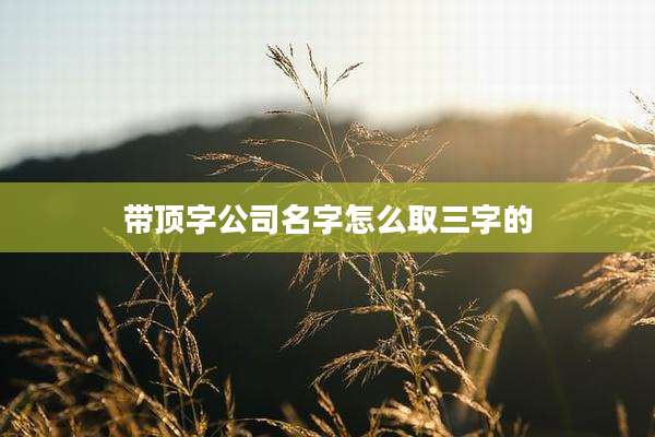 带顶字公司名字怎么取三字的