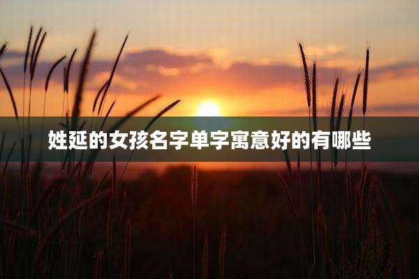 姓延的女孩名字单字寓意好的有哪些