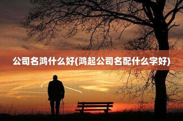 公司名鸿什么好(鸿起公司名配什么字好)