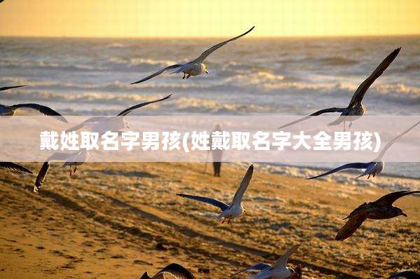 戴姓取名字男孩(姓戴取名字大全男孩)