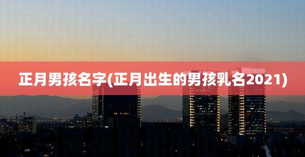 正月男孩名字(正月出生的男孩乳名2021)