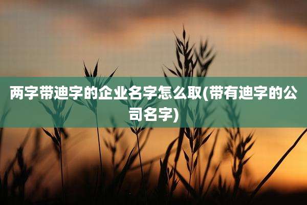 两字带迪字的企业名字怎么取(带有迪字的公司名字)