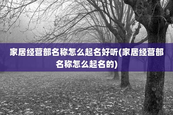 家居经营部名称怎么起名好听(家居经营部名称怎么起名的)