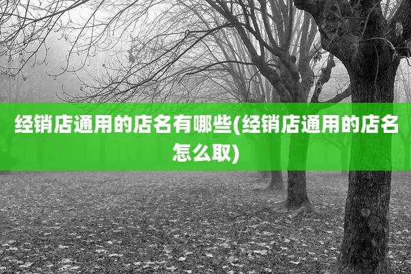 经销店通用的店名有哪些(经销店通用的店名怎么取)