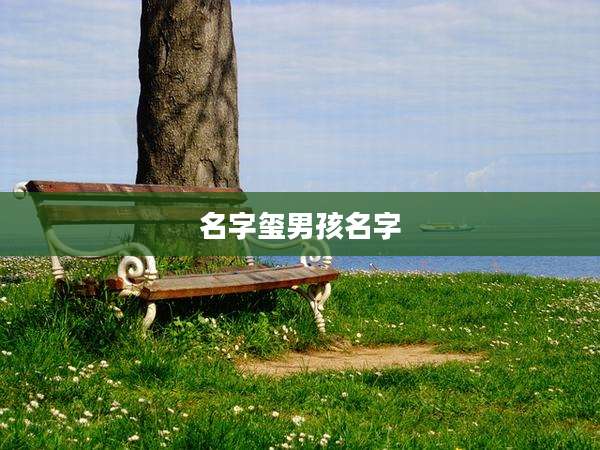 名字玺男孩名字