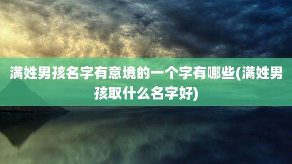 满姓男孩名字有意境的一个字有哪些(满姓男孩取什么名字好)