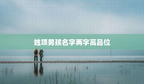 姓项男孩名字两字高品位