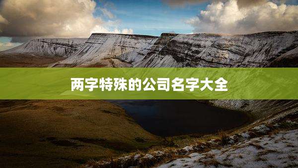 两字特殊的公司名字大全