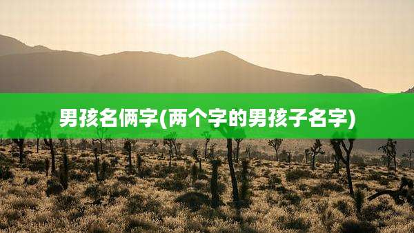 男孩名俩字(两个字的男孩子名字)
