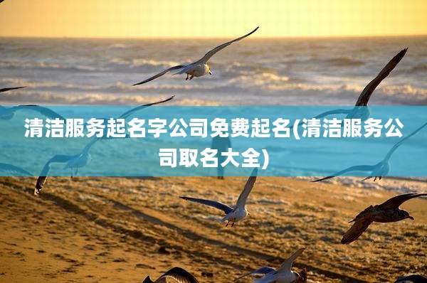 清洁服务起名字公司免费起名(清洁服务公司取名大全)