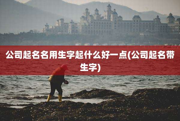 公司起名名用生字起什么好一点(公司起名带生字)