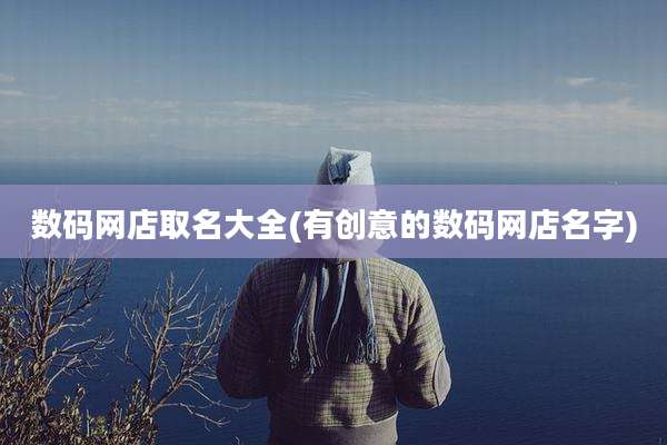 数码网店取名大全(有创意的数码网店名字)