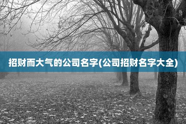 招财而大气的公司名字(公司招财名字大全)