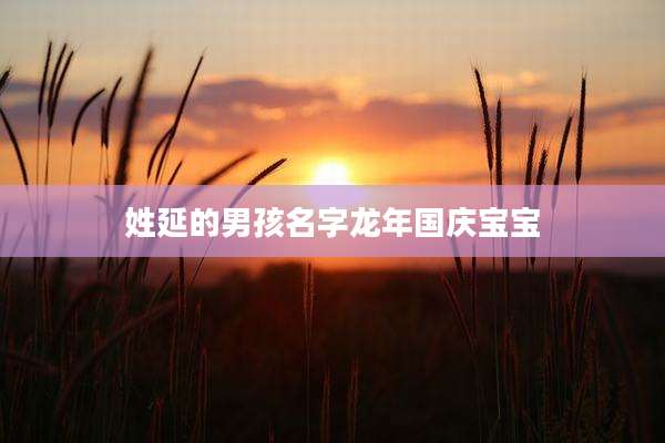 姓延的男孩名字龙年国庆宝宝
