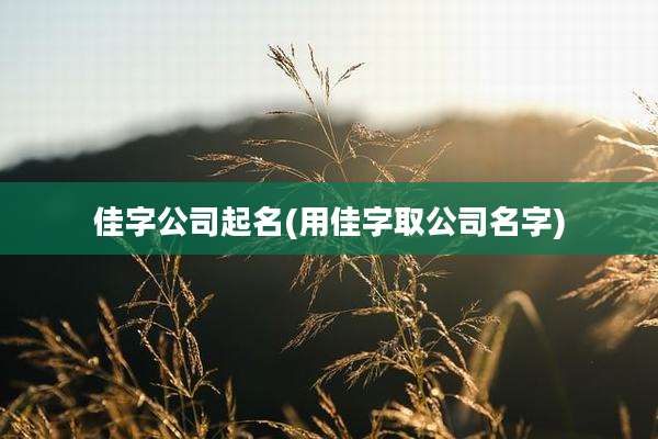 佳字公司起名(用佳字取公司名字)