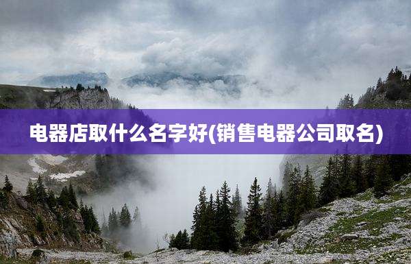 电器店取什么名字好(销售电器公司取名)