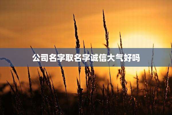 公司名字取名字诚信大气好吗