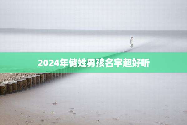 2024年储姓男孩名字超好听