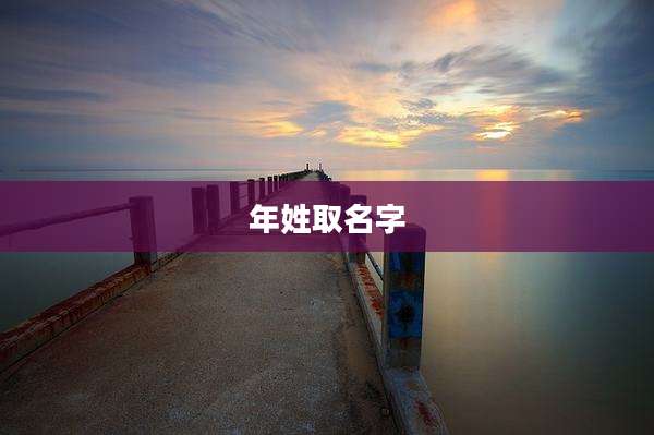 年姓取名字