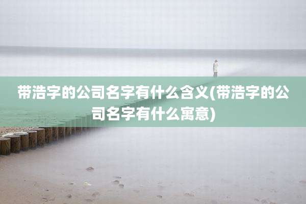 带浩字的公司名字有什么含义(带浩字的公司名字有什么寓意)