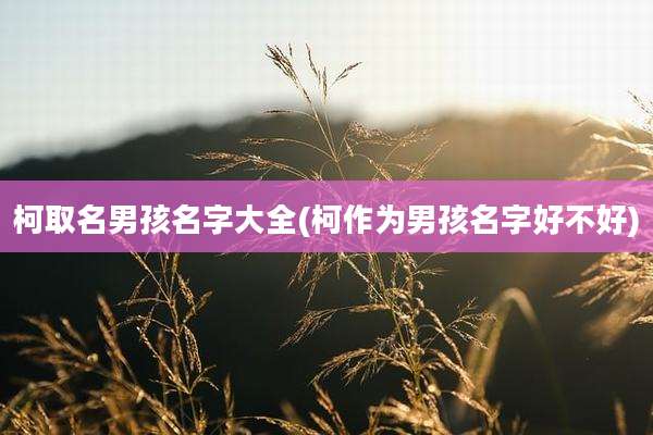 柯取名男孩名字大全(柯作为男孩名字好不好)