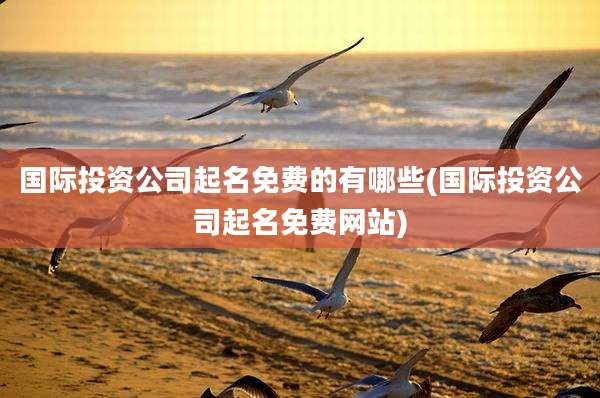 国际投资公司起名免费的有哪些(国际投资公司起名免费网站)