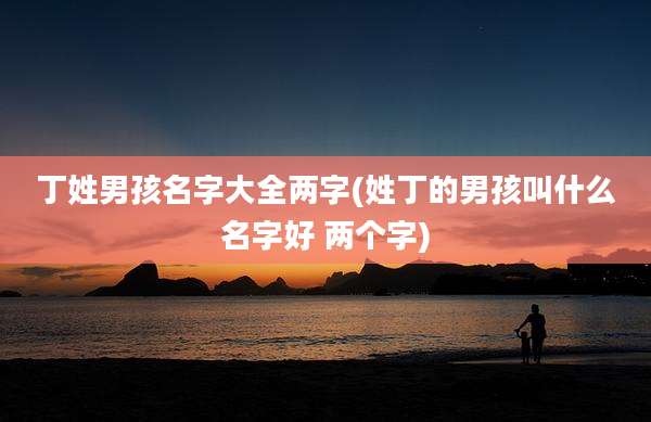 丁姓男孩名字大全两字(姓丁的男孩叫什么名字好 两个字)