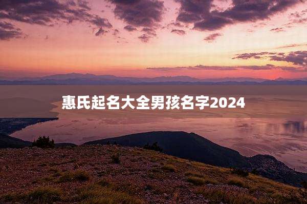 惠氏起名大全男孩名字2024