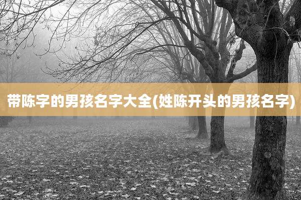 带陈字的男孩名字大全(姓陈开头的男孩名字)