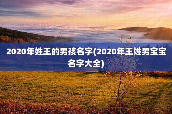 2020年姓王的男孩名字(2020年王姓男宝宝名字大全)