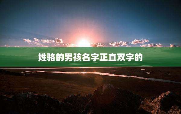姓骆的男孩名字正直双字的