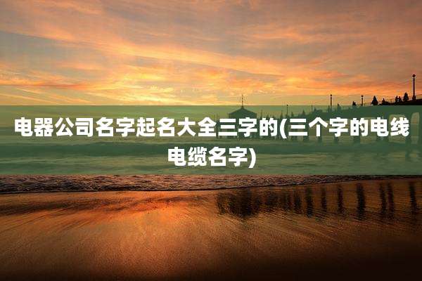 电器公司名字起名大全三字的(三个字的电线电缆名字)