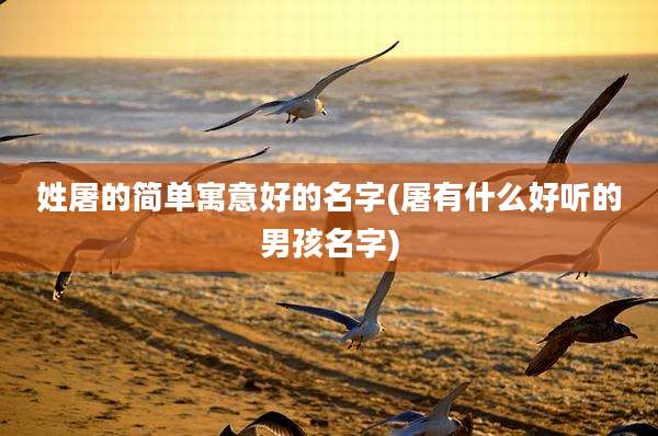 姓屠的简单寓意好的名字(屠有什么好听的男孩名字)
