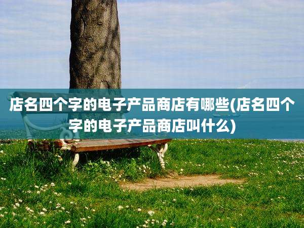 店名四个字的电子产品商店有哪些(店名四个字的电子产品商店叫什么)