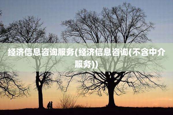 经济信息咨询服务(经济信息咨询(不含中介服务))