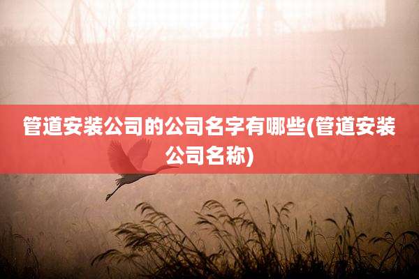 管道安装公司的公司名字有哪些(管道安装公司名称)