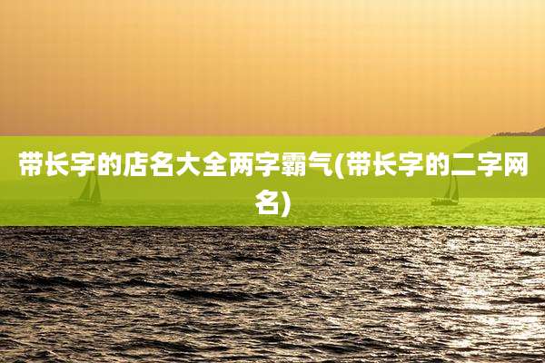 带长字的店名大全两字霸气(带长字的二字网名)