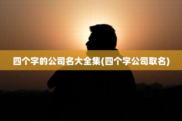 四个字的公司名大全集(四个字公司取名)
