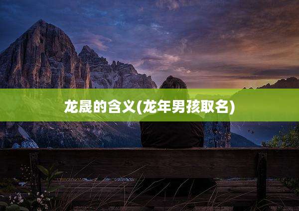 龙晟的含义(龙年男孩取名)