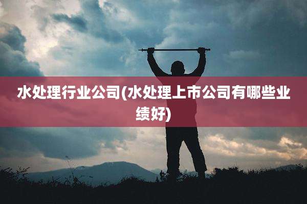 水处理行业公司(水处理上市公司有哪些业绩好)