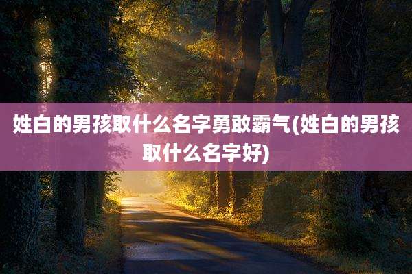 姓白的男孩取什么名字勇敢霸气(姓白的男孩取什么名字好)