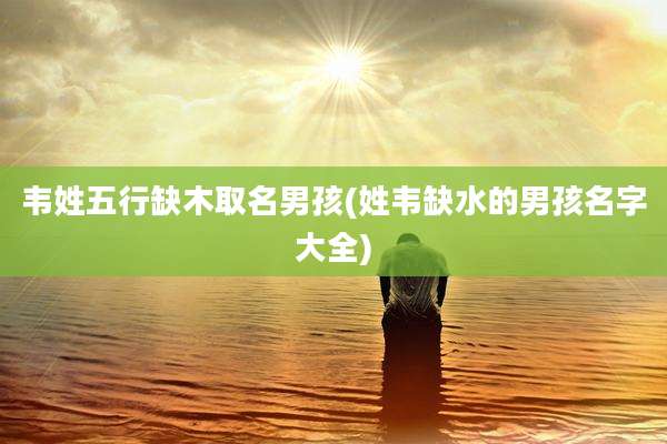 韦姓五行缺木取名男孩(姓韦缺水的男孩名字大全)