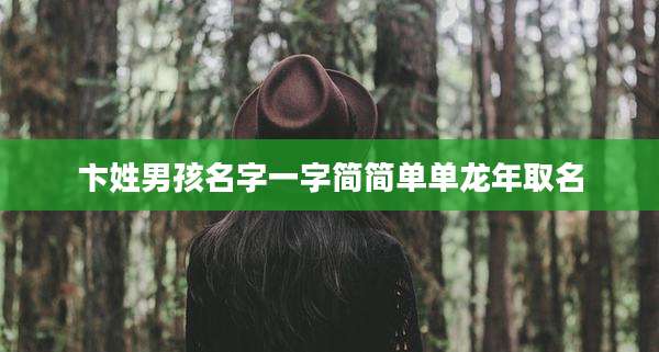卞姓男孩名字一字简简单单龙年取名