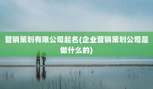 营销策划有限公司起名(企业营销策划公司是做什么的)