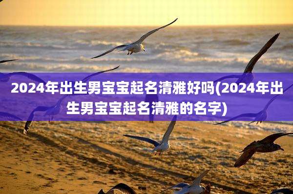 2024年出生男宝宝起名清雅好吗(2024年出生男宝宝起名清雅的名字)