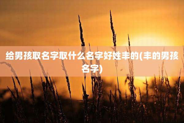给男孩取名字取什么名字好姓丰的(丰的男孩名字)