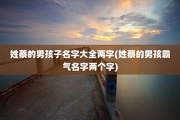 姓蔡的男孩子名字大全两字(姓蔡的男孩霸气名字两个字)