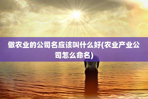 做农业的公司名应该叫什么好(农业产业公司怎么命名)